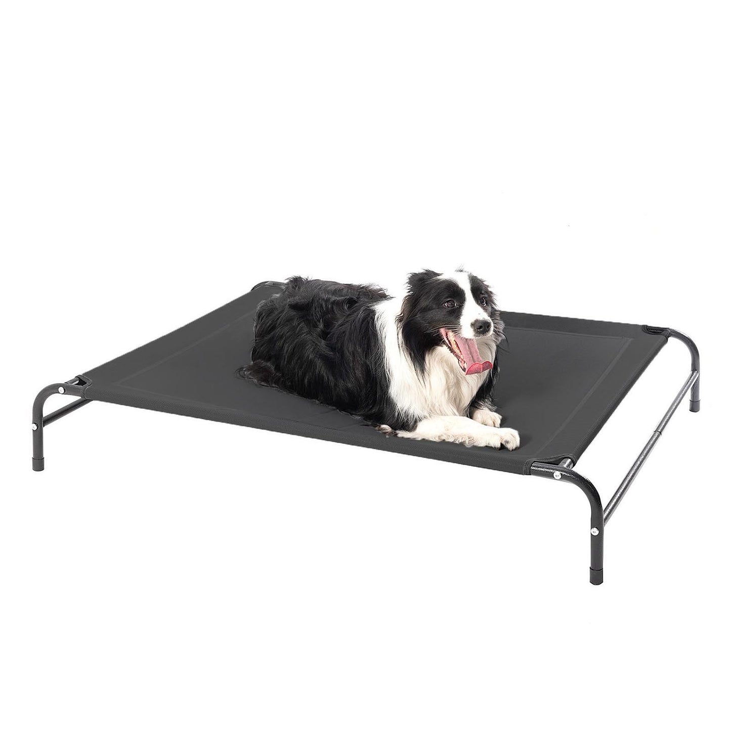 Portable Elevated Dog Bed