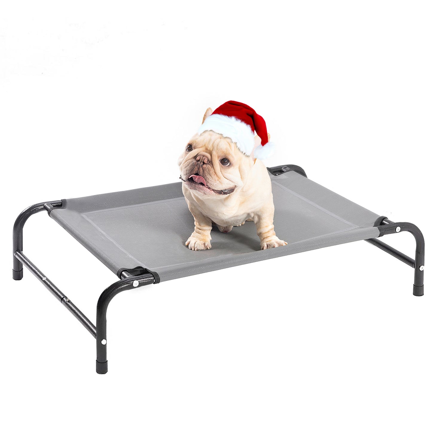 Portable Elevated Dog Bed