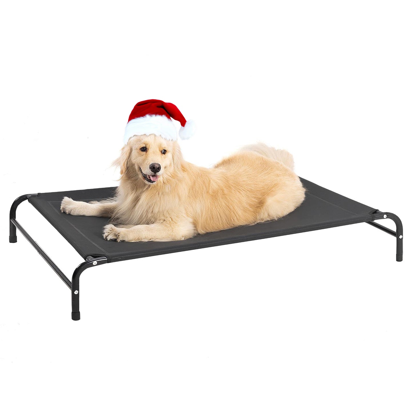 Portable Elevated Dog Bed