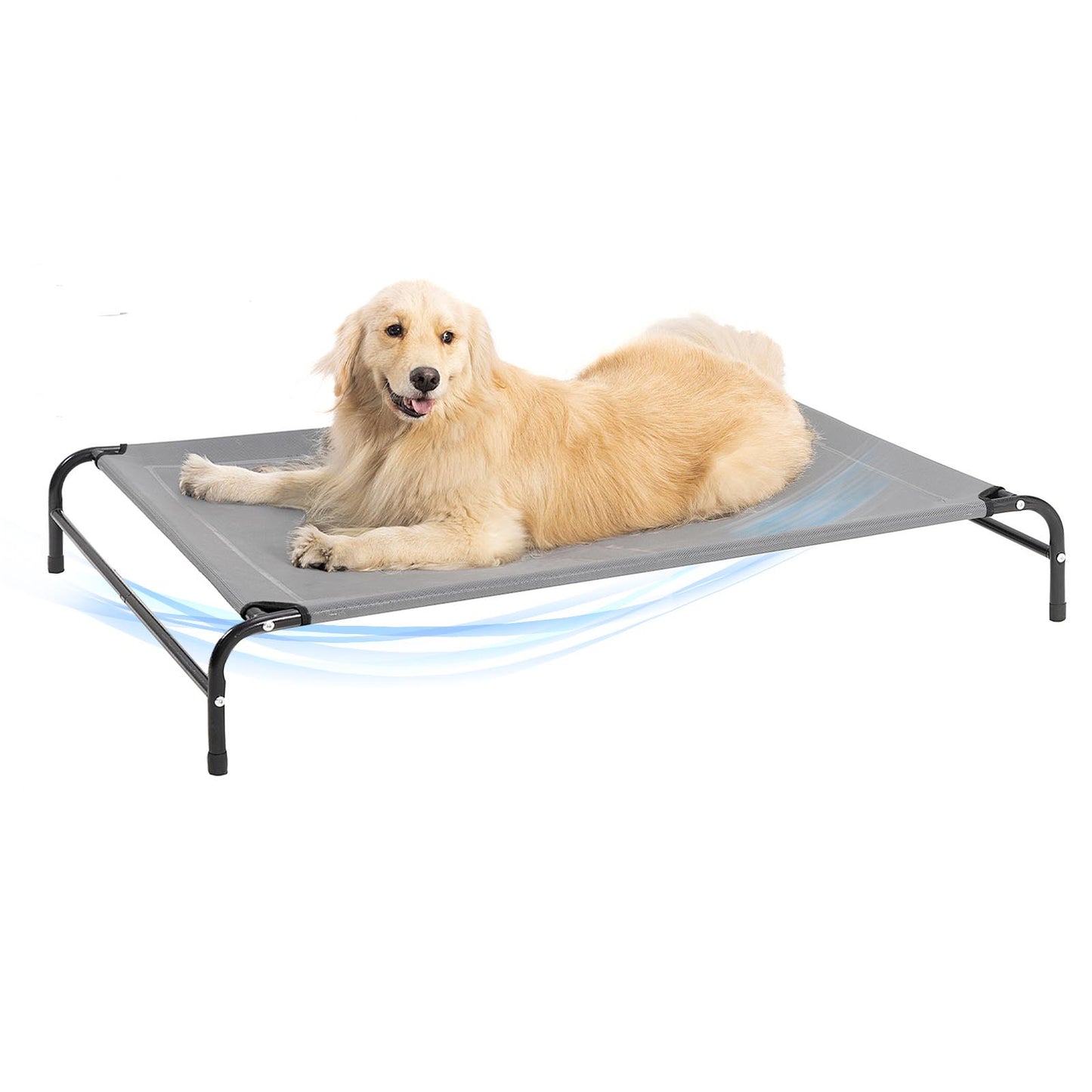 Portable Elevated Dog Bed