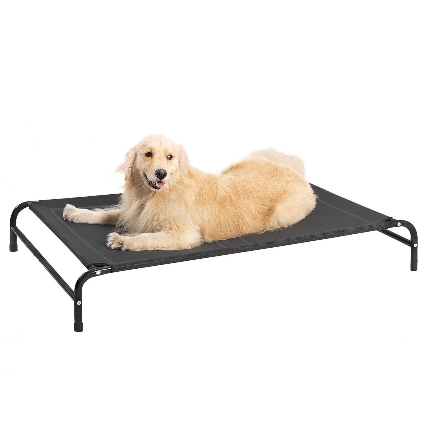 Portable Elevated Dog Bed