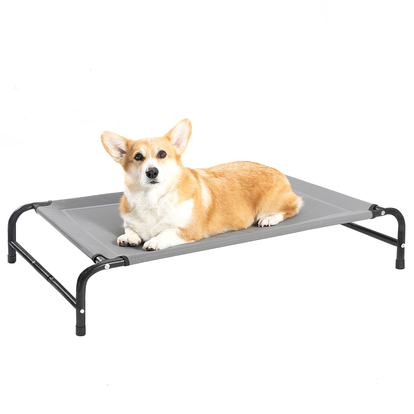 Portable Elevated Dog Bed