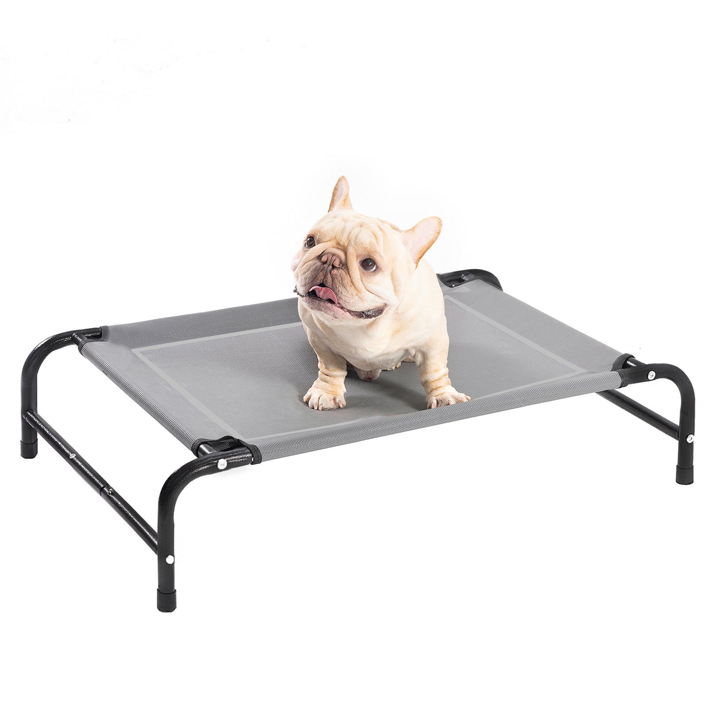 Portable Elevated Dog Bed