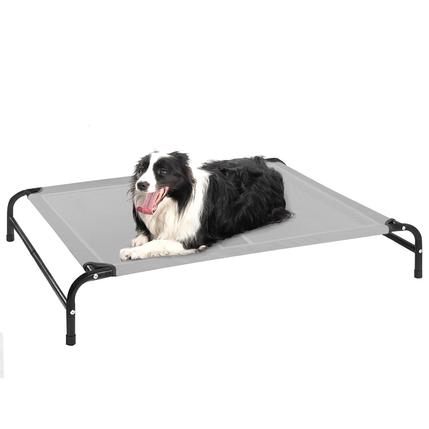 Portable Elevated Dog Bed