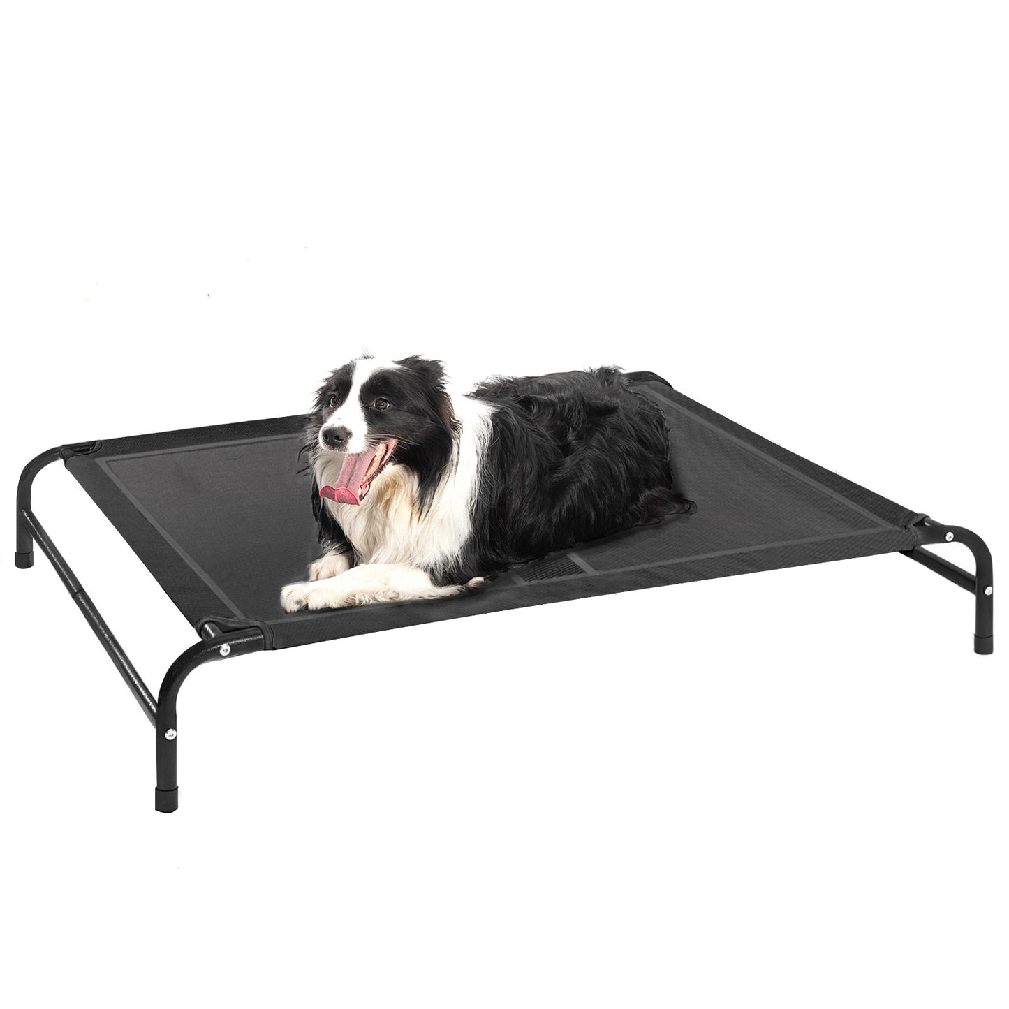 Portable Elevated Dog Bed